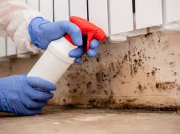 Asbestos and Lead Testing During Mold Inspection in Landis, NC